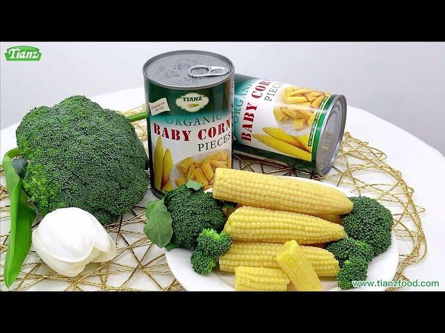 Tianz Canned Baby Corn | Support OEM&ODM | Tianz Food Factory