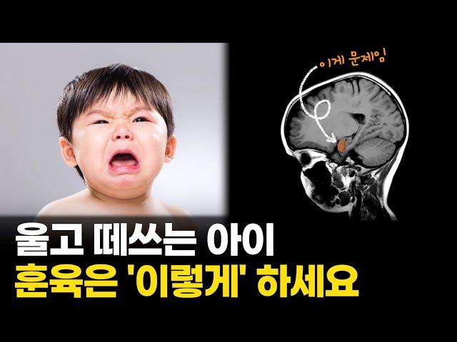 화내고 떼쓰는 아이 "이 아몬드 기억하세요!" I 올바른 훈육 방법