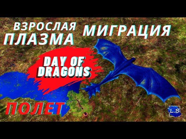 DAY OF DRAGONS ВЗРОСЛЫЙ ПЛАЗМА ДРАКОН ПОЛЕТ И МИГРАЦИЯ