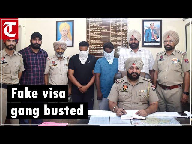 Jalandhar police bust fake visa gang; arrest 2