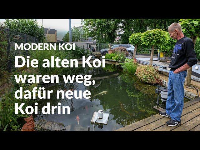 Guidos  50.000 Liter Teich nach dem Ahrtalhochwasser | Modern Koi Blog #6891