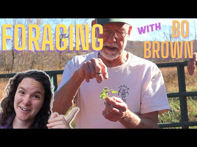 BO BROWN FORAGING WALK ║ 1 Morning, OVER 50 Species!