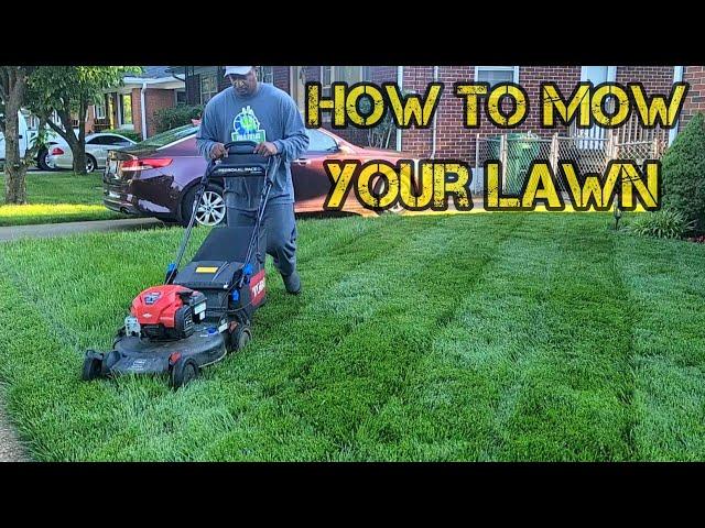 How to MOW, TRIM, EDGE and Blow your grass