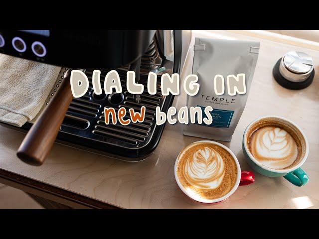 Dialing in Espresso | New Beans from Temple Coffee