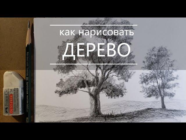 Как нарисовать дерево карандашом поэтапно