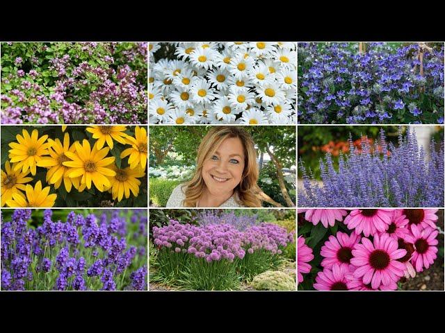 10 Perennials That Look GREAT in the HEAT!  // Garden Answer