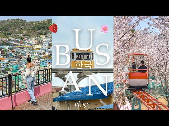 busan in 4 days 