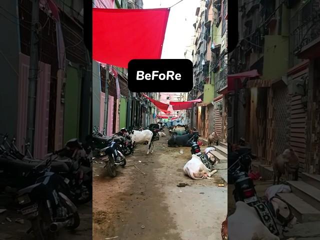 Before And After Bakra EidMoments #bakraeidspecial #ytshorts #eid  #bakraeidlover #bakra #mandi