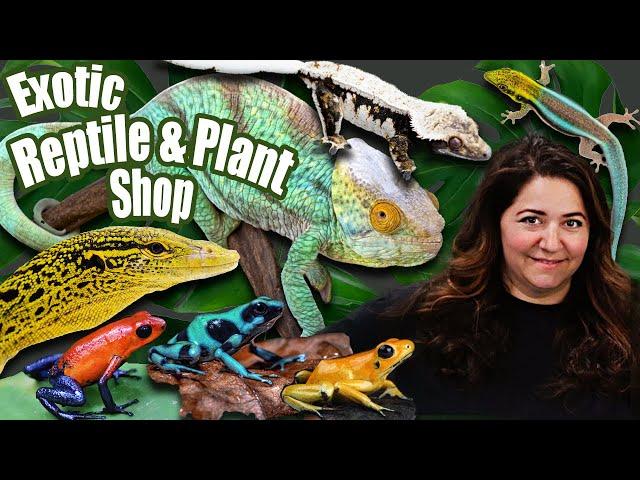 New Exotic Reptile and Plant Shop Tour!