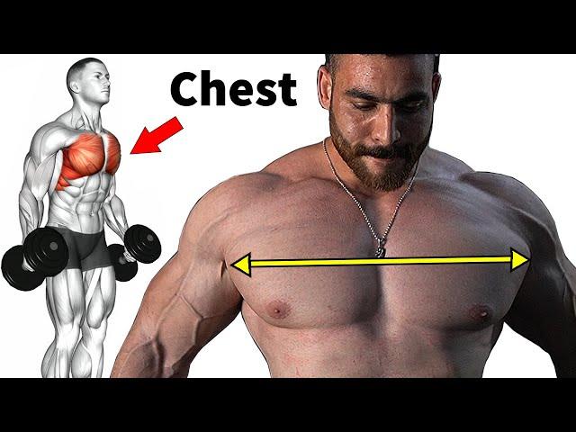 10 Best Effective Exercises To Build A Perfect Chest