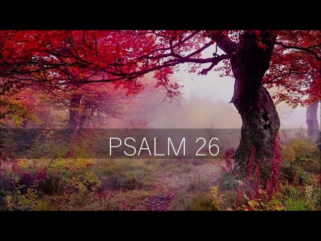 PSALM 26 / Bitte eines Unschuldigen