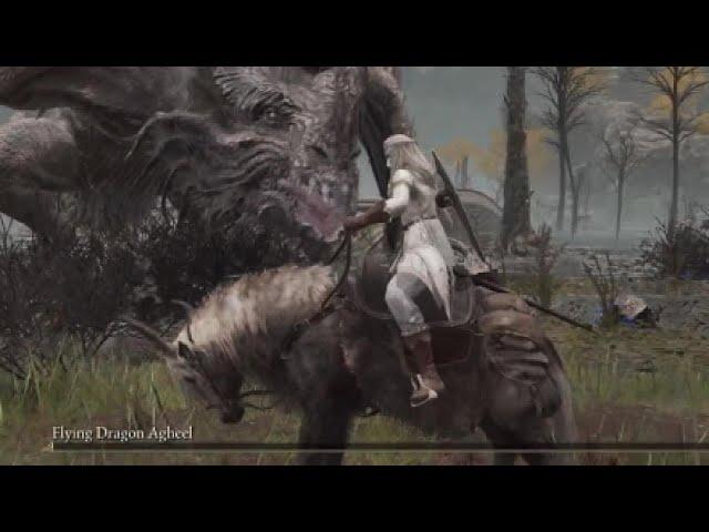 Elden Ring Estoc +17 Vs Flying Dragon Agheel