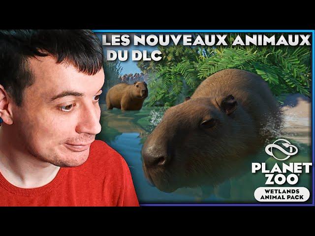 Aperçu des Animaux du Nouveau DLC | PLANET ZOO WETLANDS ANIMAL PACK