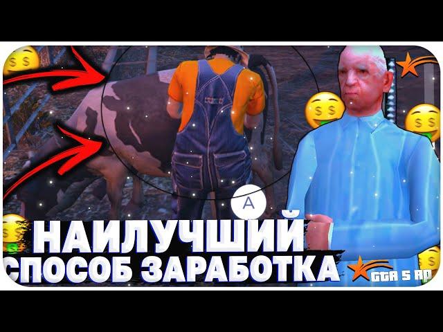 ФИНИК С НУЛЯ! НАИЛУЧШИЙ СПОСОБ ЗАРАБОТКА НА GTA 5 RP RAINBOW