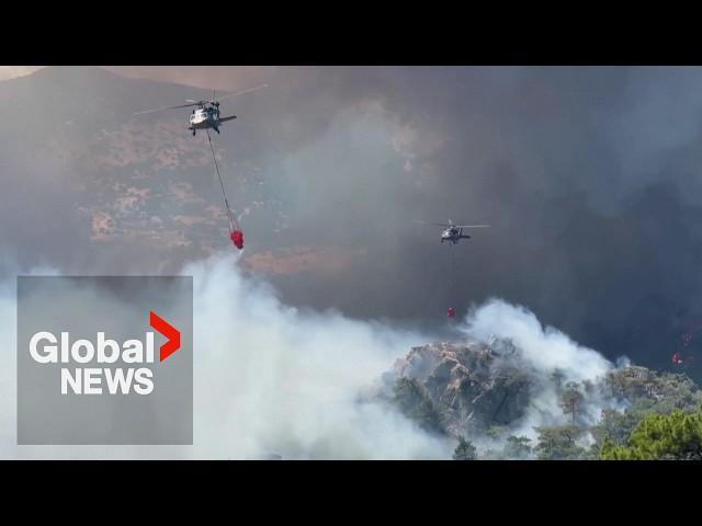 Turkey wildfires: Helicopters, planes douse flames in Izmir as strong winds fan blaze