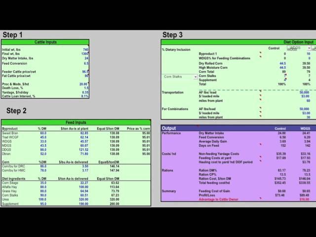 Storage Methods for Ethanol Co-Products - Economics of Storage