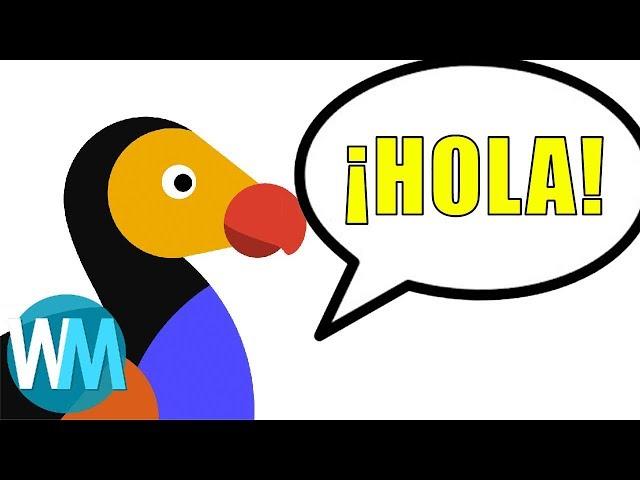 Taking On The Spanish Market: The Dodo Goes Español - size of Hispanic audience? - Mojo Talks