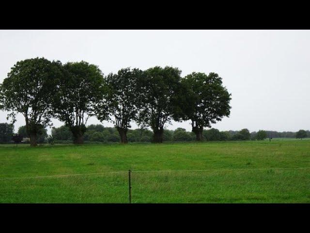 364 Cadier en Keer (Limburg, NL) 12,3 km