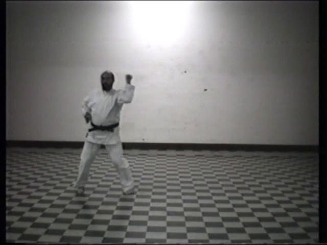 Kata NAIHANCHI, Maestro VINCENZO SCACCHIA cintura nera 7° Dan, WADORYU KARATE-DO.