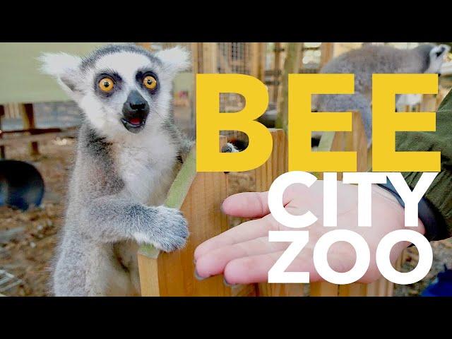 Bee City Zoo - Hands On & Interactive