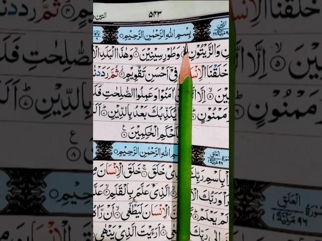 Let's Lichen and learn surah Tt_Teen#surahteen#quran#beautiful#shorts