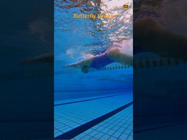 Beautiful butterfly stroke#swimming