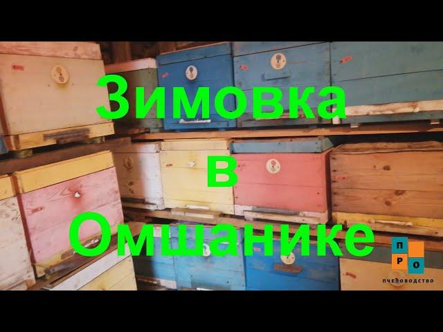 Перевозим пчёл зимой. Зимовка Карники в омшанике, зимовка нуклеусов и запасных маток, как пройдёт?