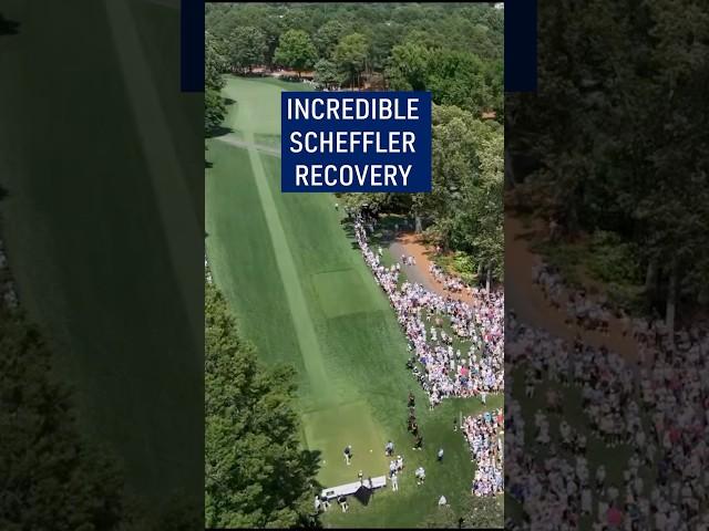 Scottie Scheffler's AMAZING birdie recovery! 