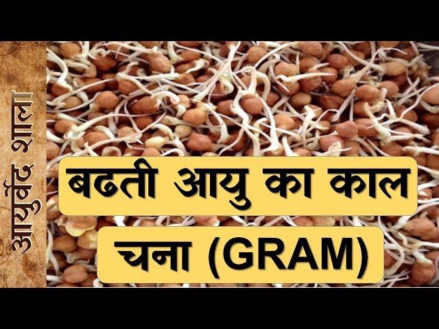 chana khane ke fayday | gram benefits |Ayurved shala