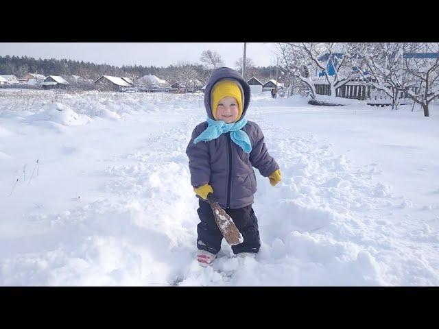 ️ПЕРВАЯ ЗИМА в деревне (3 серия) || Ежевичный сад