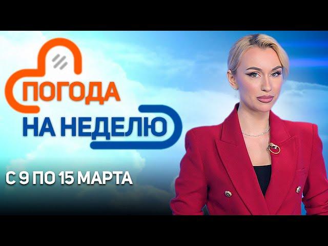 Тепло и дожди! | Погода в Беларуси с 9 марта по 15 марта | Плюс-минус