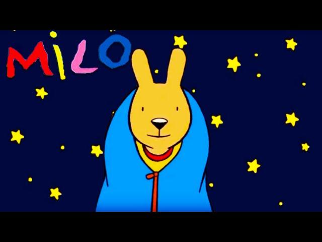 Milo - La Petite Ours, la porte fermée et restons ensemble | Dessin animé pour les enfants