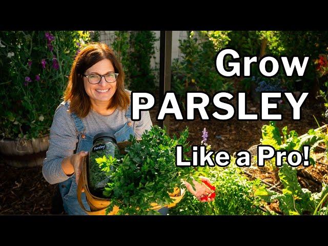 PARSLEY GROWING GUIDE: Seed to Harvest