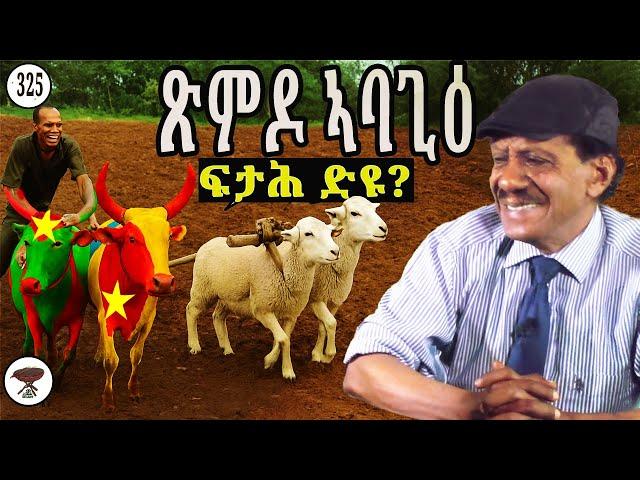 Negarit 325: ጽምዶ ኣባጊዕ - Pairing sheep? - قران الخرفان