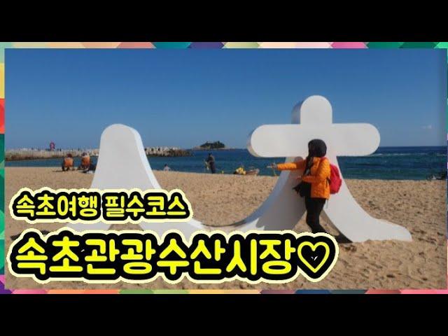 즐거운 먹거리가 가득한 속초 관광 수산시장에 놀라다 Explore Sokcho Tourist and Fisheries Market