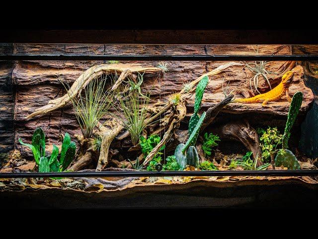 Arid Bioactive Bearded Dragon Vivarium