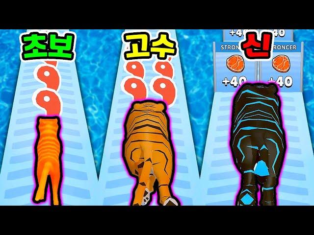 달릴수록 진화하는 고양이?! / 사냥한 동물로 병맛 동물원?? [Cat Evolution]