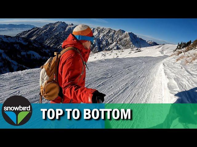 An Average Snowboarder Snowboarding(Top to Bottom) in Snowbird, Utah (IKON PASS) |