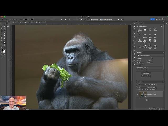 Camera Raw 17.1: Removing Reflections