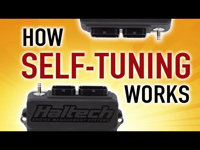  How Self Tuning Works: Short Term vs Long Term Fuel Trim | TECHNICALLY SPEAKING