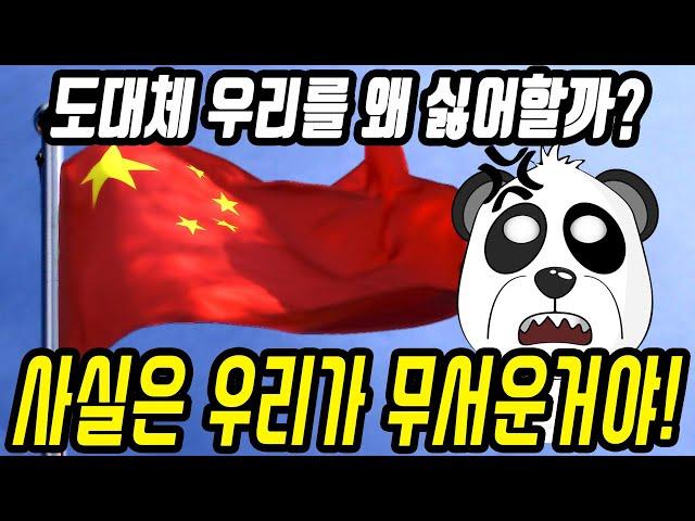 중국반응│전세계가 중국을 싫어하는 이유│중국 천만 네티즌이 분석한 중국이 인기 없는 이유│역시 중화사상 정신승리는 이길 수가 없다│중국어로[路]