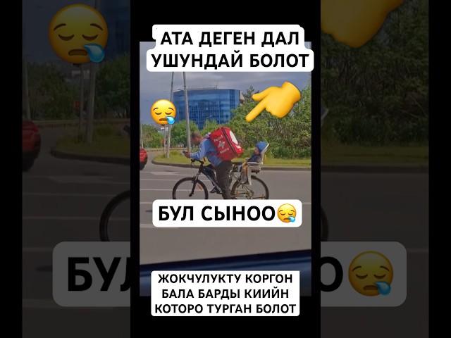 БААРЫ ЖАКШЫ БОЛОТ️ #тикток #тиктокнутая #дуэт #моялошадь #той #лошадки #прикол #тренд #horse