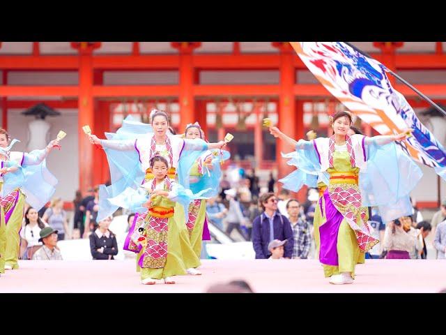 [4K] なかとさもん　京都さくらよさこい 2024 さくよさ 2日目 神宮道会場 (中央)