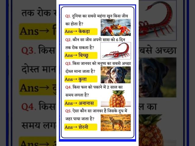 IAS INTERVIEW QUESTIONS | GK QUESTION | GENERAL KNOWLEDGE | GK