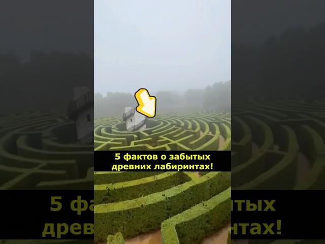 5 фактов о забытых древних лабиринтах! #Лабиринты #Археология #История #ТайныМира #Факты