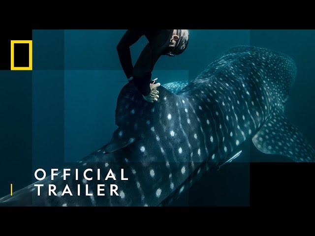 Perpetual Planet: Heroes of the Oceans | Official Trailer | National Geographic UK