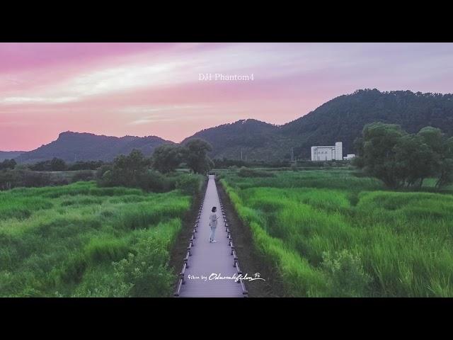 [드론 영상] 화포천 공원 노을 HD_오두막필름 스톡