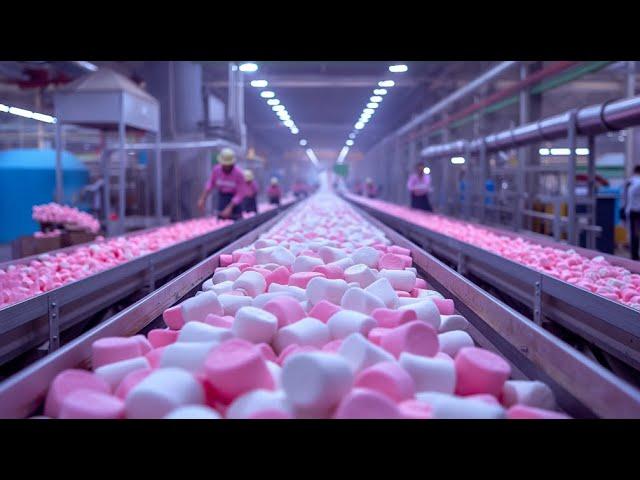 Marshmallow MEGA Factory: Processing Millions of Marshmallow Using Modern Technology