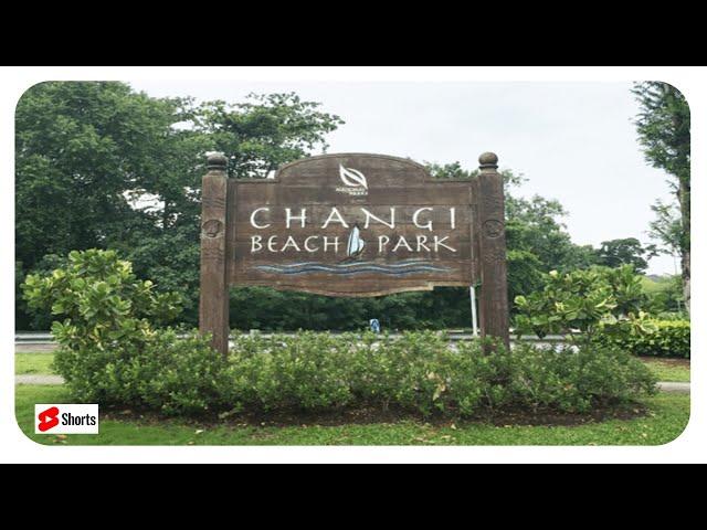 Changi Park Singapore - Changi beach Singapore #Shorts