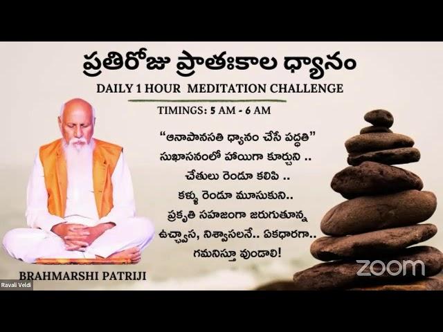 Meditation With Patriji Flute Music